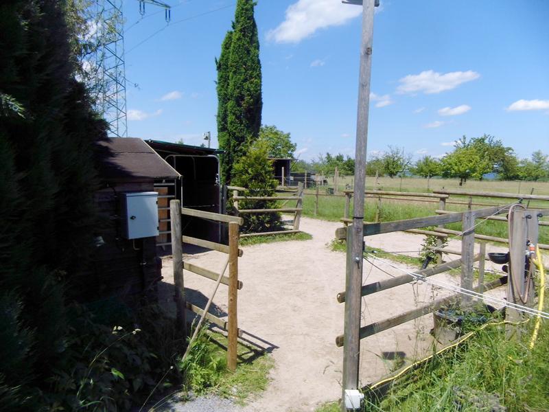 Eingang zum Paddock vom Weg aus