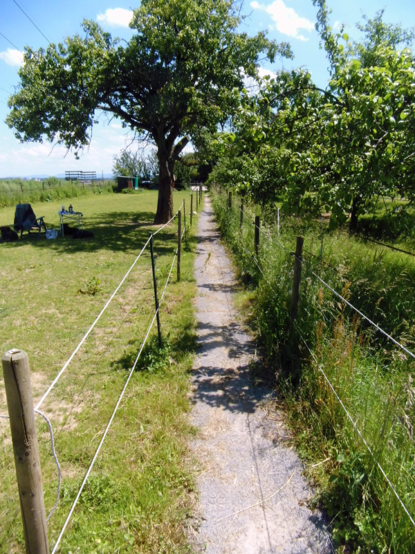 Weg Richtung Ausgang RV