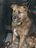 P6200048