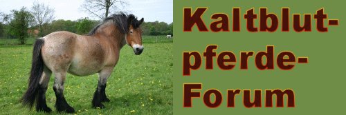 logo kaltblutforum